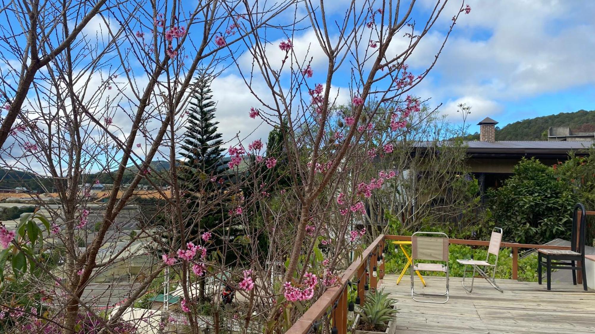 Mala Home & Coffee Da Lat Eksteriør billede