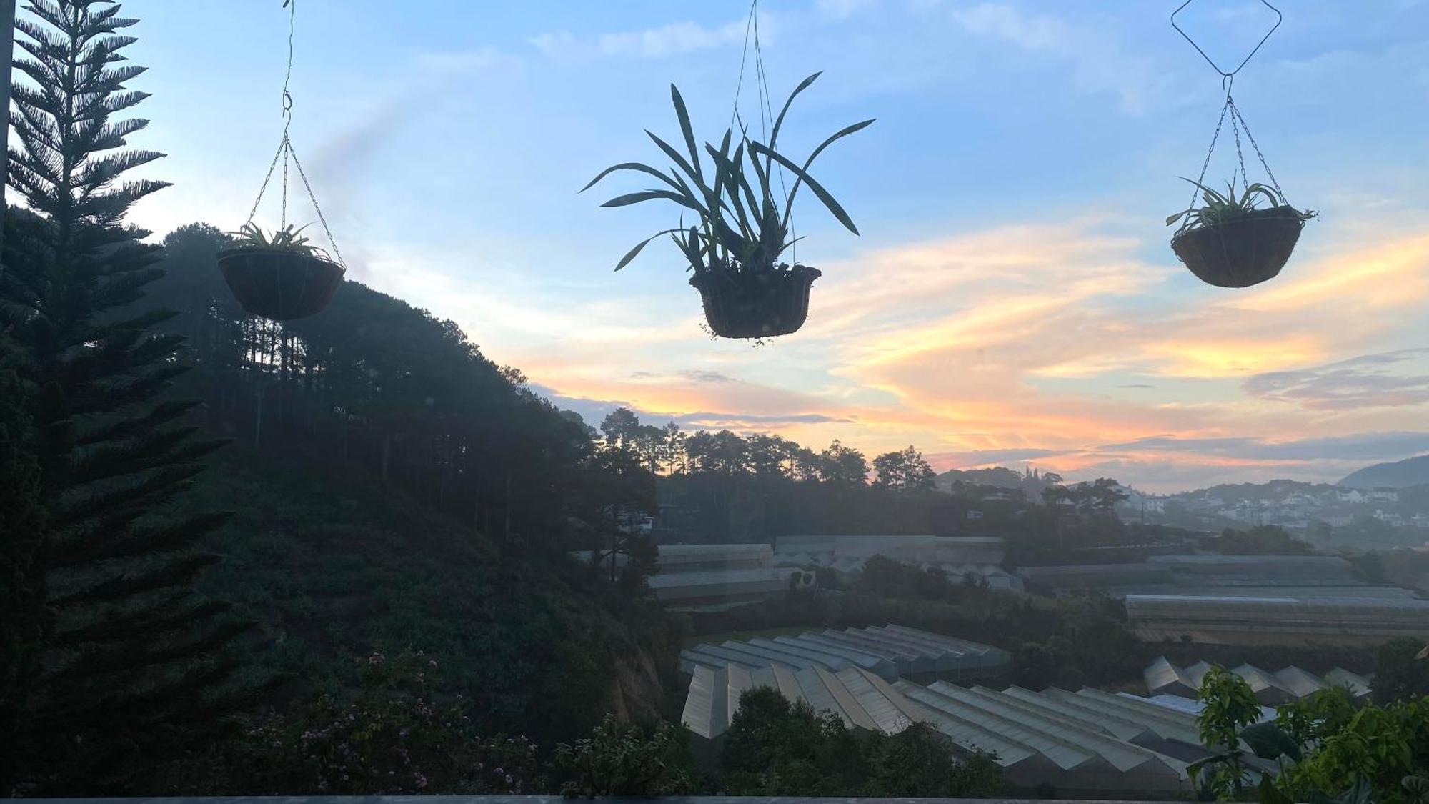Mala Home & Coffee Da Lat Eksteriør billede
